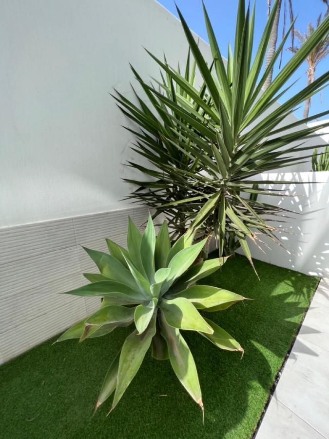 Corralejo Bristol Terrace Apartment Con Giardino Privato Esterno Extérieur photo